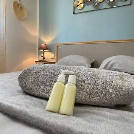 Le Voyage Bleu, Clim Parking * Carcassonne